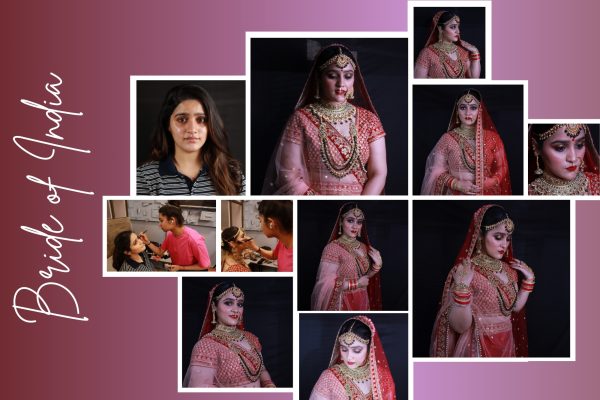 Bride of India collage (1)